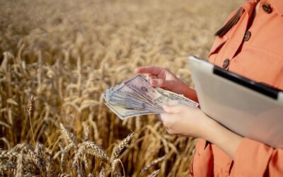 Ile kosztuje ubezpieczenie gospodarstwa rolnego w praktyce?