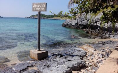 Od czego zależy ile wynosi składka OC?