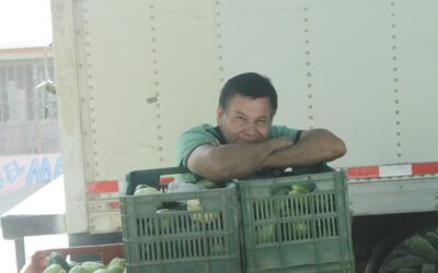 Pit 28 przychód netto czy brutto?