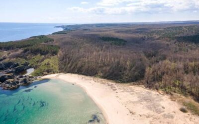 Ile wynosi PKB w Polsce i od czego zależy jego wysokość?