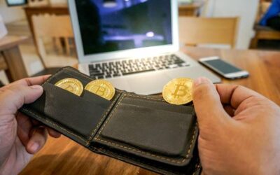 Jaki portfel krypto wybrać do codziennego użytkowania?
