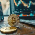 Bitcoin jaka platforma sprawdzi się do codziennego handlu?